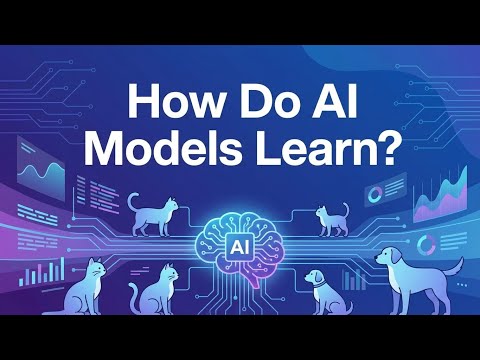 Huấn luyện AI là gì? Loss, Epoch, Learning Rate | AI Cơ Bản #03