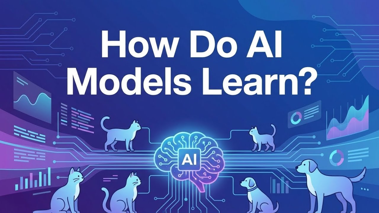 Huấn luyện AI là gì? Loss, Epoch, Learning Rate | AI Cơ Bản #03