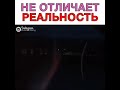 Не может отличить реальность 😨