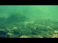 Testing Fuji Finepix XP170 Waterproof Camera under sea