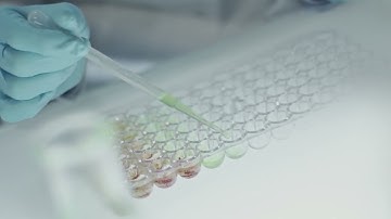 Top 5 Productivity Hacks for 2025 🚀 | Boost Your Efficiency