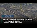 Чёрные масляные пятна обнаружили жители Иркутского района в заливе Топка