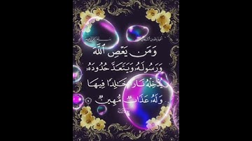 سورة النساء الآية ( 14 )