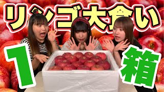 りんごを1箱食べ切りたい女たちの戦い【大食い】