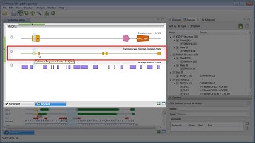 DNASTAR - Creating Features in Protean 3D