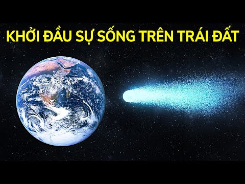Video: Có bao nhiêu sao chổi chu kỳ dài?