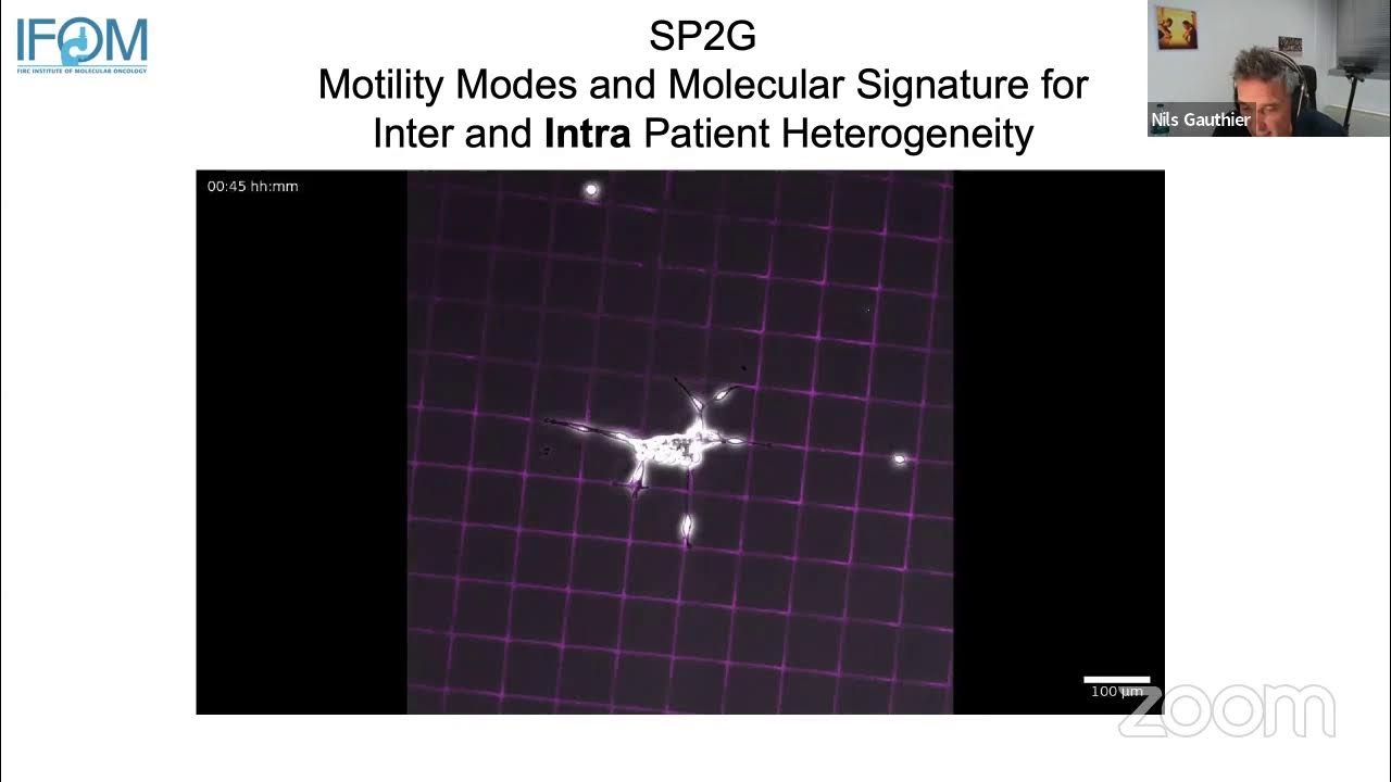 Cell Migration Seminars 75 Prof. Nils Gauthier and Purnati Khuntia