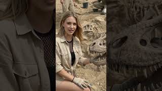 Desenterrar Fósiles #ciencia #paleontologia #paleontology #jurasic #jurásico