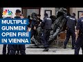 Multiple gunmen in Vienna 'terrorist attack'