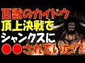 【ワンピース】百獣のカイドウが頂上決戦に向かう時赤髪のシャンクスに●●されていた…