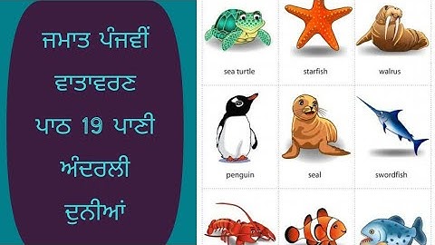 ਜਮਾਤ ਪੰਜਵੀਂ ਵਾਤਾਵਰਣ ਪਾਠ 19 ਪਾਣੀ ਅੰਦਰਲੀ ਦੁਨੀਆਂ