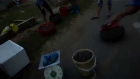 THU GOM  MUA BÁN QUẢ SIM RỪNG 0942926116