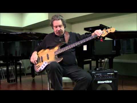 harmonics-on-the-bass-guitar---lessons---in-home-lessons---66-fender-jazz-bass