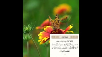 #سورة_الأحزاب #قرآن #تدبر #آيات #تدبر_قرآن #ذكر #إيمان #خشوع #قرآن_كريم دروس وعبر