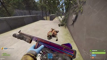 POV: you piss off a zerg