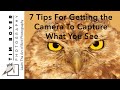 7 Tips For Getting the Camera To Capture What You See