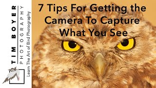 7 Tips For Getting the Camera To Capture What You See