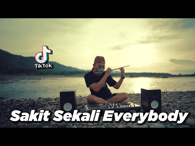 SAKIT SEKALI EVERYBODY x STEREO LOVE SLOW REMIX (DJ Desa) class=