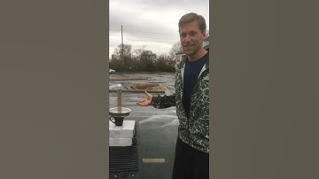Egg experiment for inertia