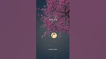 اللهم أصلح لي ديني الذي هو عصمة أمري دعاء مستجاب اجمل حالات دعاء Dua Daily Dua 