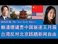 野猫论政 2935：纽约时报 - 赖清德谴责中国驱逐王月眉，台湾反对北京践踏新闻自由