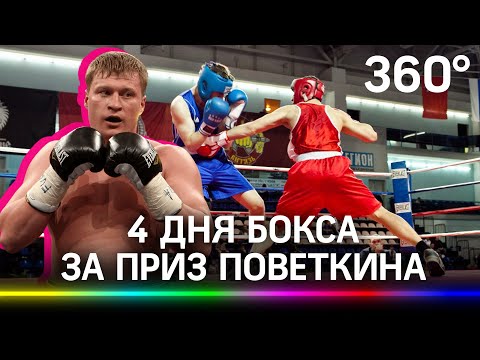 Жаркие бои за приз Александра Поветкина - первенство по боксу в Чехове