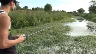 Comment pêcher le black bass à la grenouille (FROG)   Version 2