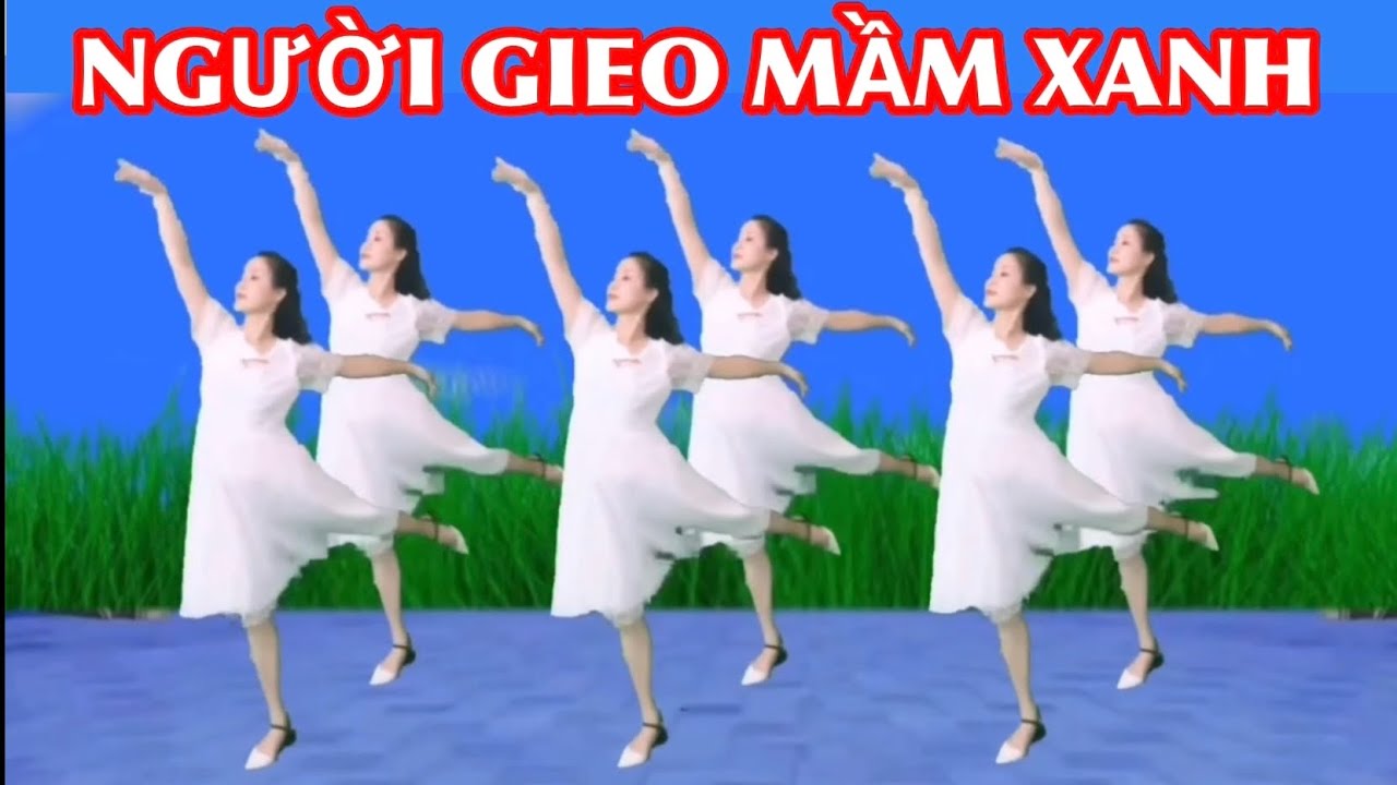 ☘️ NGƯỜI GIEO MẦM XANH . 20/11