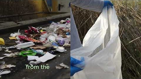 One Earth, One Chance | World Environment Day 2025 Song 🌍