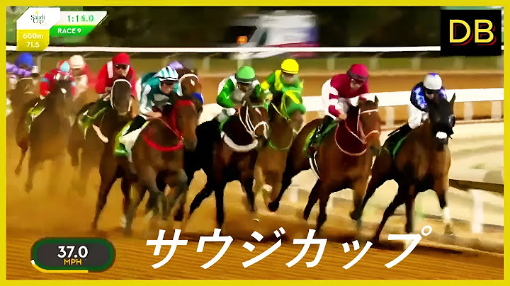 2025年 サウジカップ（G1） | 第6回 |