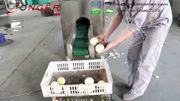 High Capacity Onion Root Cutting Machine Automatic