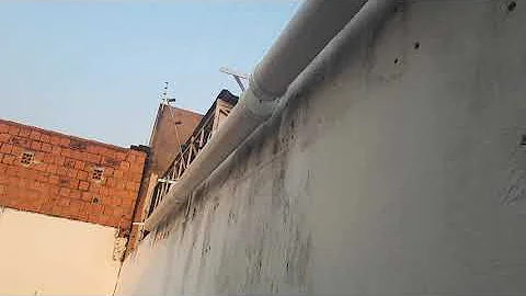 O que fazer pro gato não pular o muro?