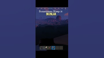 Keep it Ninja in Rust Sometimes - Rust Shorts