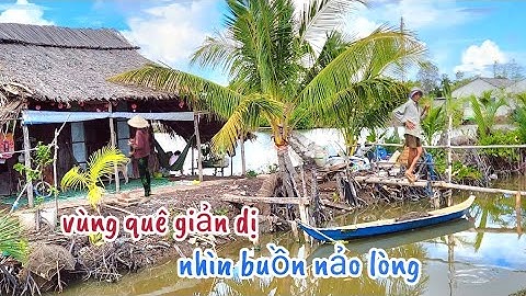 Ngạc Nhiên Vùng Quê Giản Dị Mà Nhìn Buồn Nảo Lòng, Đường Làng Chỉ Thấy Đồng Lúa Nhà Cửa Thưa Thớt