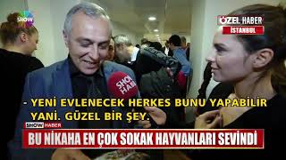 Download Bu Nikaha En çok Sokak Hayvanları Sevindi Video MP3 Bu Nikaha En çok Sokak Hayvanları Sevindi