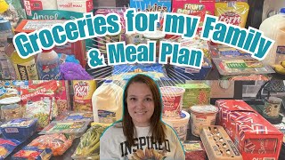 $200 ALDI &amp; WALMART GROCERY HAUL || Weekly Meal Plan on a Budget