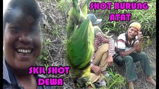 SHOT BURUNG TAKUR API ATAU ATAT SAAT MIKAT DI HUTAN