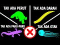 Faktafakta hewan yang belum pernah kamu dengar