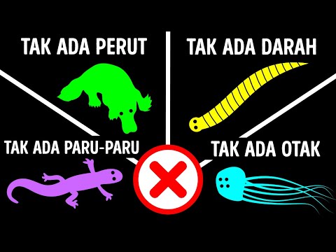 Video: 32 Fakta-fakta Perkasa mengenai Thor.