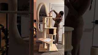 Luxurious Xxl Cat Tree For Big Cats & Maine Coons