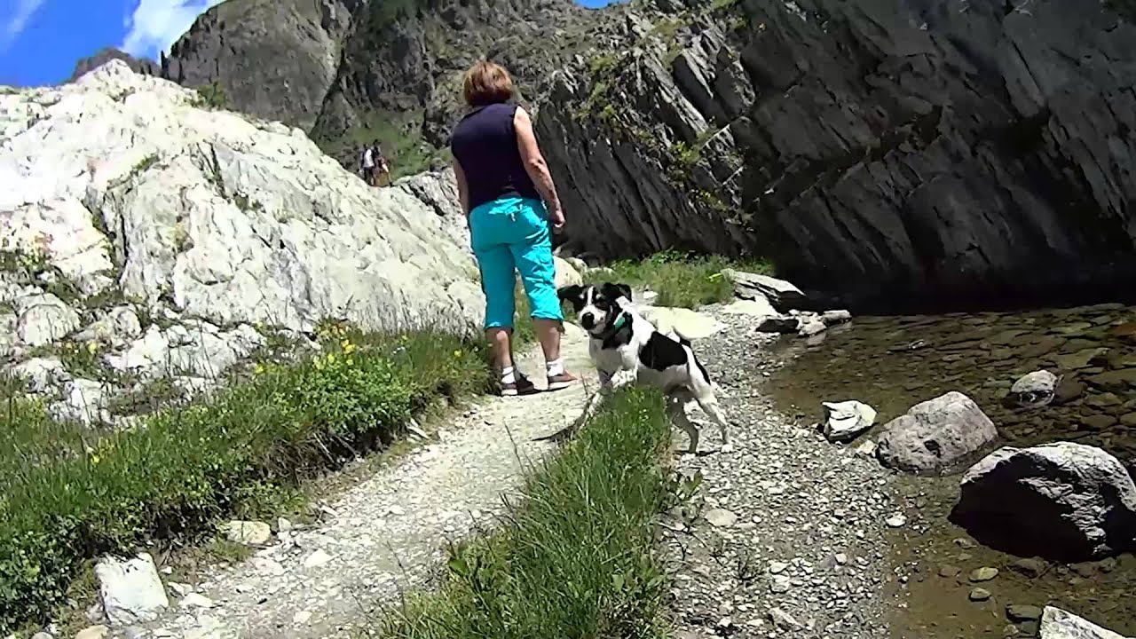 Швейцария. Подвесной мост Трифт (Trift Bridge)