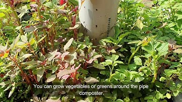 తెలుగు: DIY Pipe composting using Aerobic method in English #pipecomposter #diy in Telugu Language