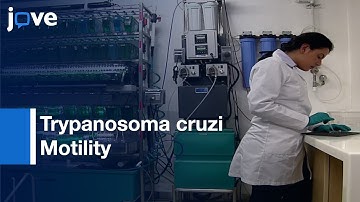 Trypanosoma cruzi Motility Investigation in a Larval Model | Protocol Preview