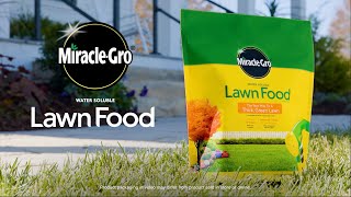 How To Use Miracle Gro Water Soluble Lawn Food by Miracle-Gro 6,988 views 1 year ago 31 seconds