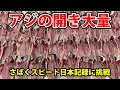 【超高速】大量のアジの開き・さばく速さの日本記録に挑戦!!