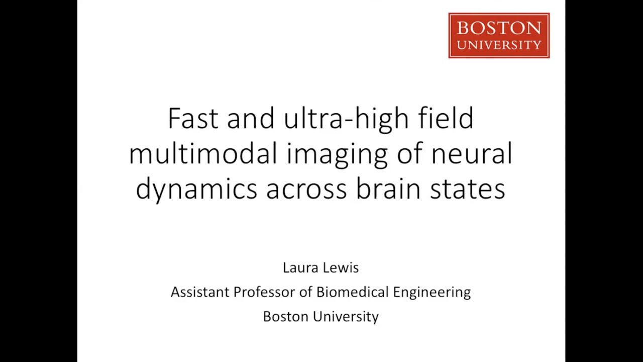 CMN Multimodal Neuroimaging Workshop 2019 – Laura Lewis