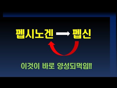 펩시노겐, 우리 몸의 양성되먹임