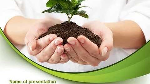 Burgeon PowerPoint Template by PoweredTemplate.com