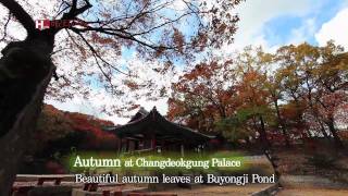 [TVZONE] The Four Seasons of Changdeokgung Palace