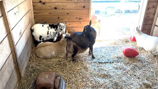 Life on the Wabash: Zoo Visit, Rich History, and Community Roots